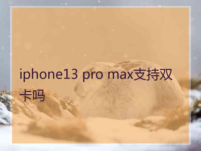 iphone13 pro max支持双卡吗