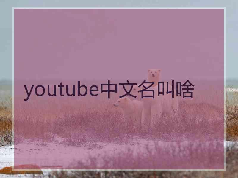 youtube中文名叫啥