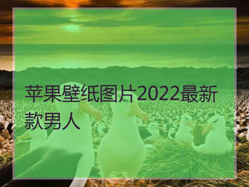 苹果壁纸图片2022最新款男人