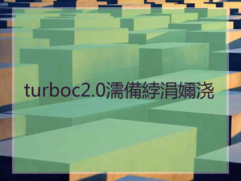 turboc2.0濡備綍涓嬭浇