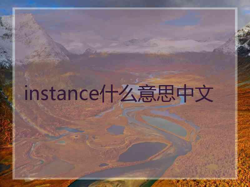 instance什么意思中文