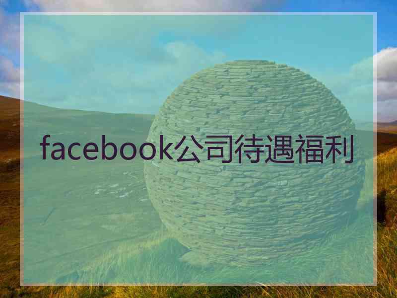 facebook公司待遇福利