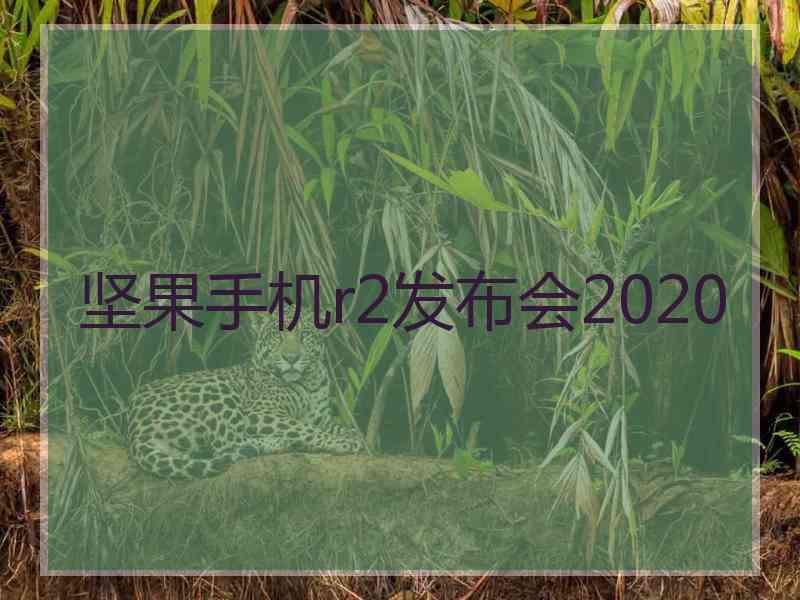 坚果手机r2发布会2020