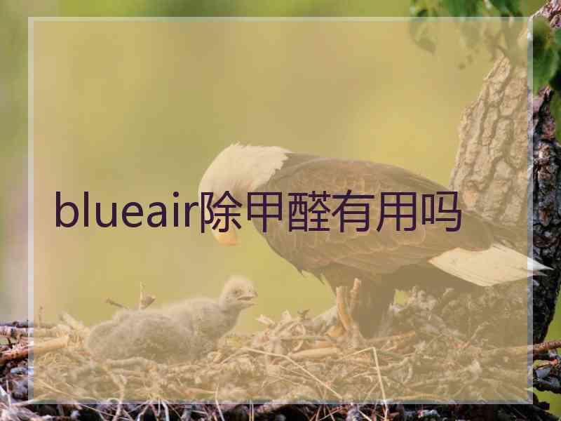 blueair除甲醛有用吗