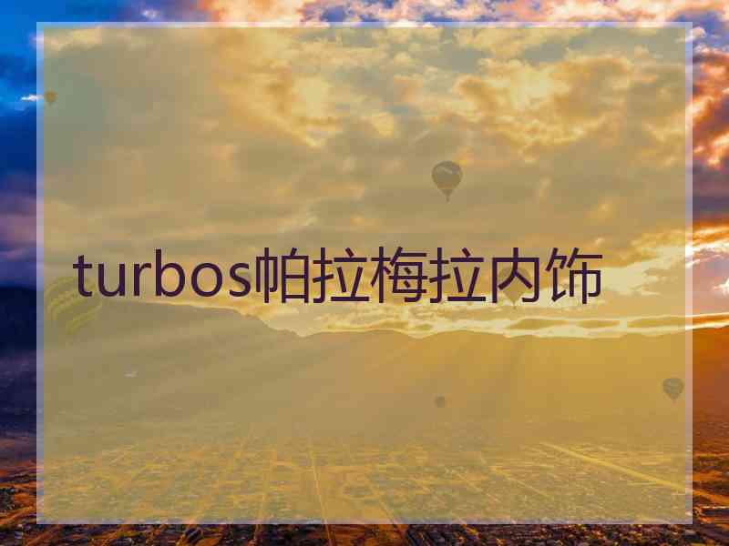 turbos帕拉梅拉内饰