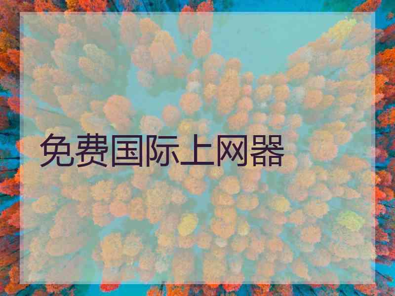 免费国际上网器