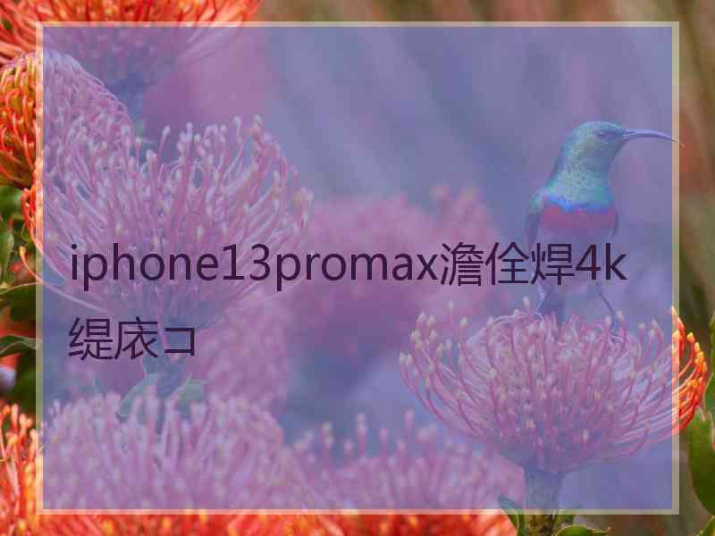 iphone13promax澹佺焊4k缇庡コ