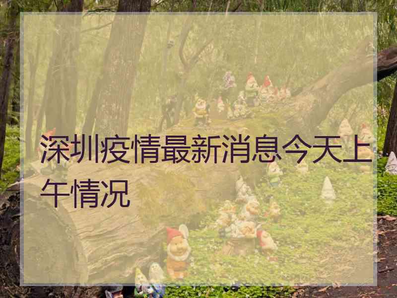 深圳疫情最新消息今天上午情况