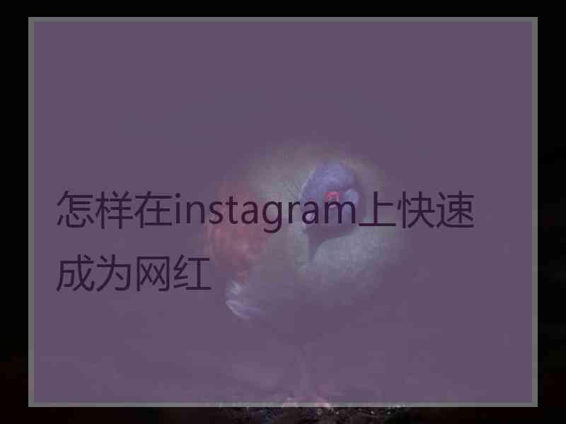 怎样在instagram上快速成为网红