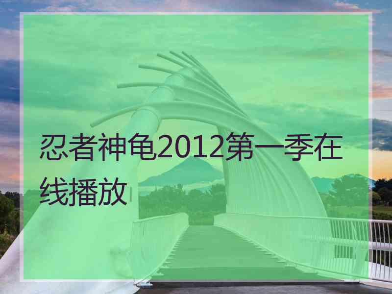 忍者神龟2012第一季在线播放