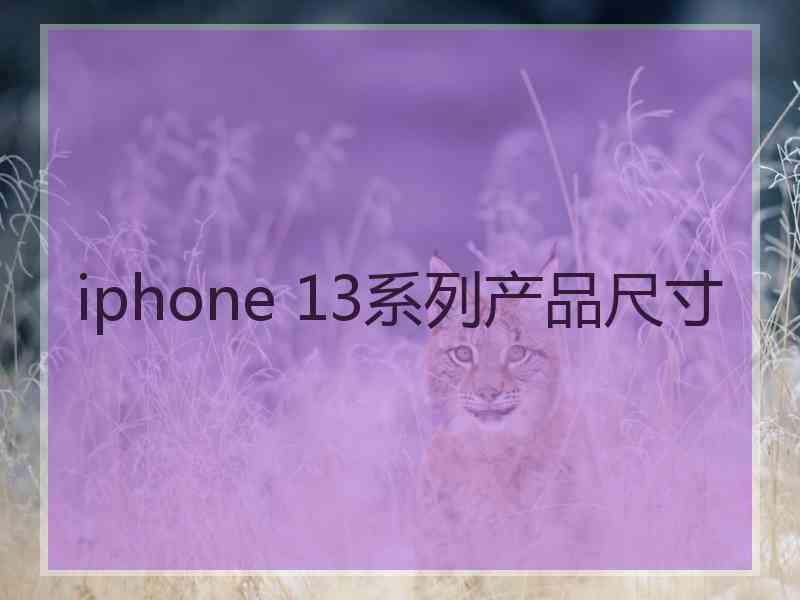 iphone 13系列产品尺寸