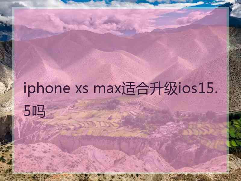 iphone xs max适合升级ios15.5吗