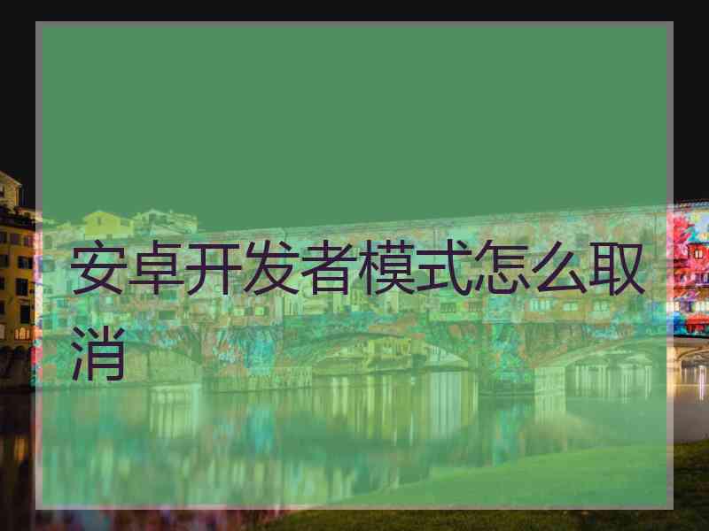 安卓开发者模式怎么取消