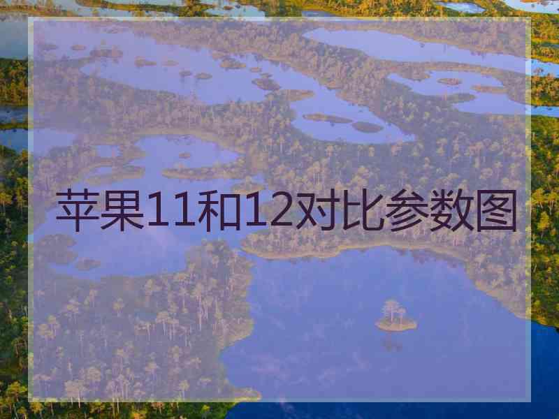 苹果11和12对比参数图