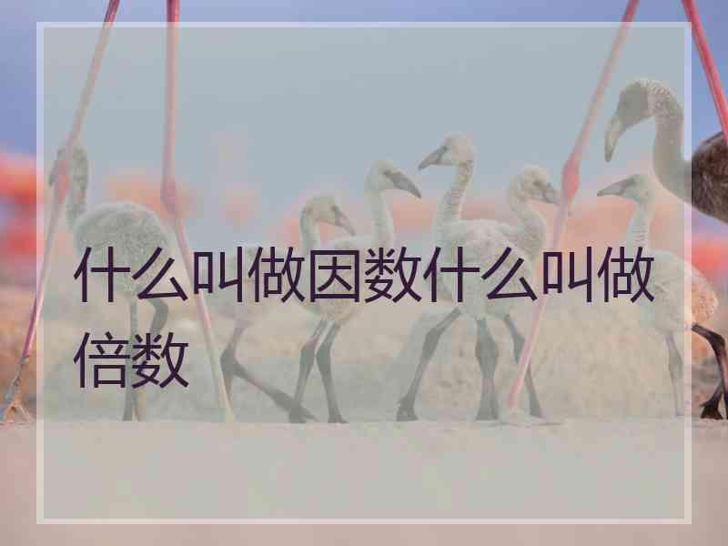 什么叫做因数什么叫做倍数