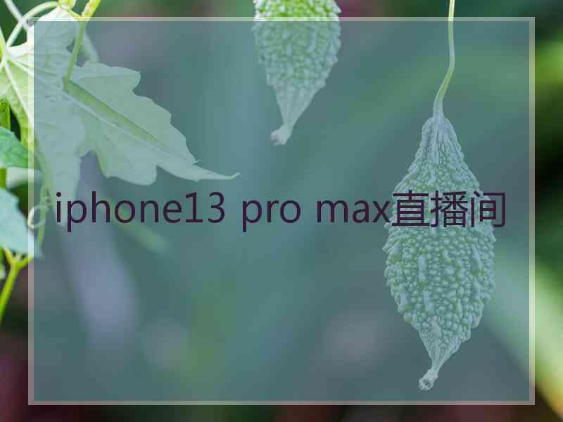 iphone13 pro max直播间