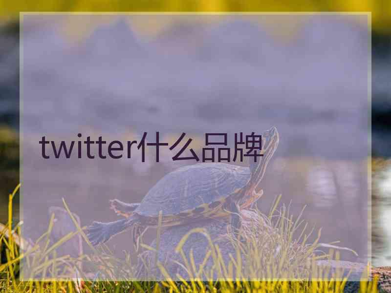 twitter什么品牌