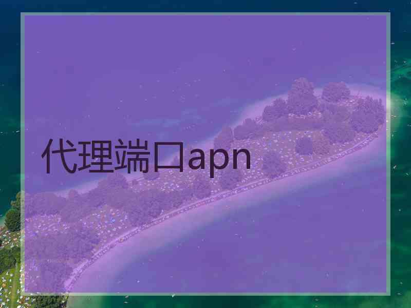 代理端口apn