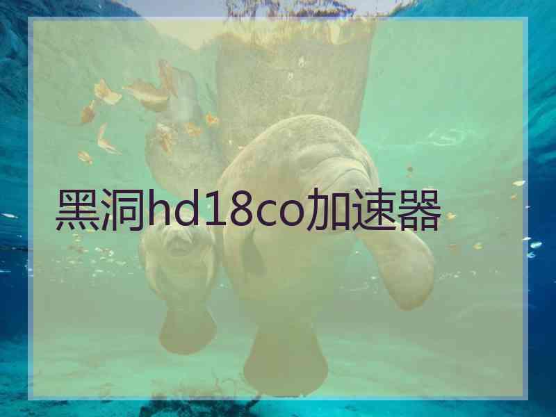 黑洞hd18co加速器