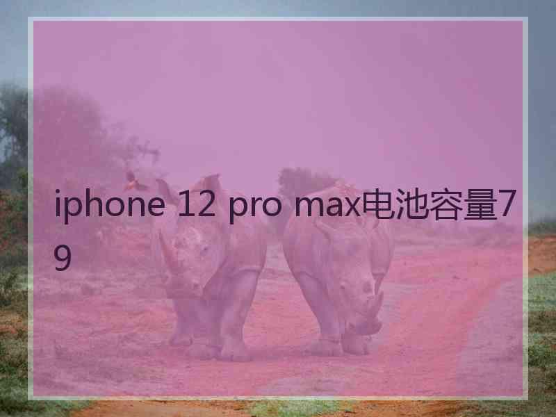 iphone 12 pro max电池容量79