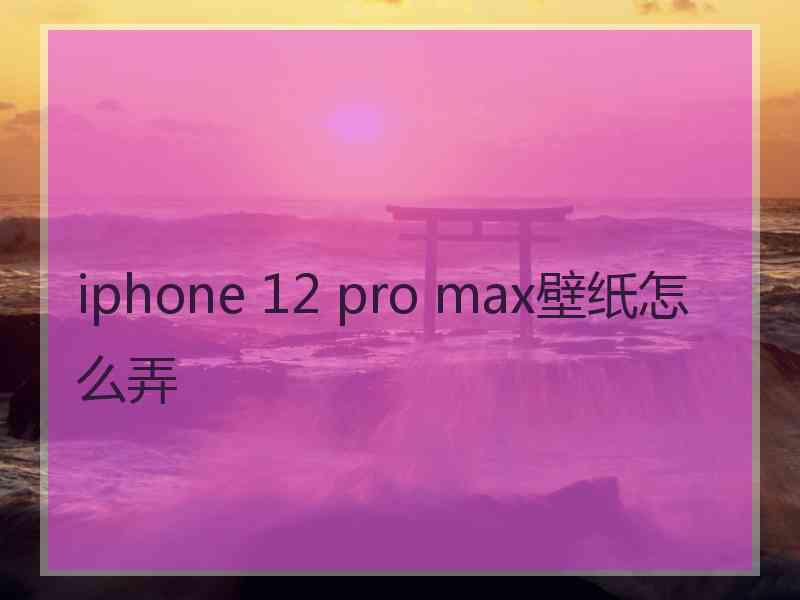 iphone 12 pro max壁纸怎么弄