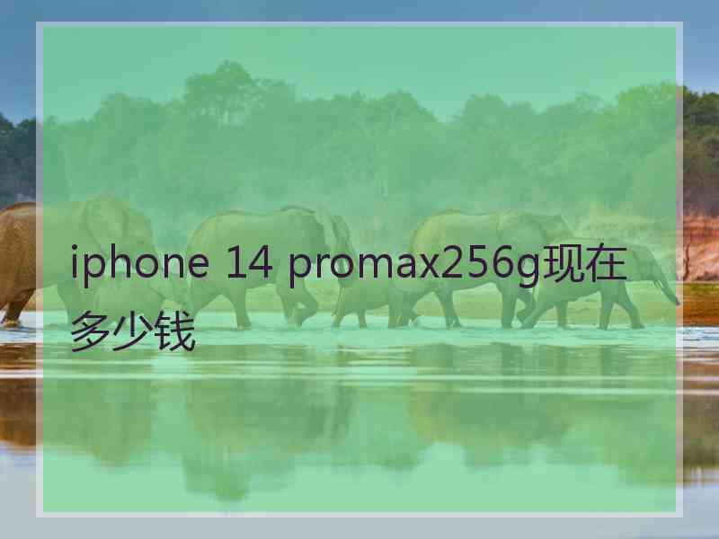 iphone 14 promax256g现在多少钱