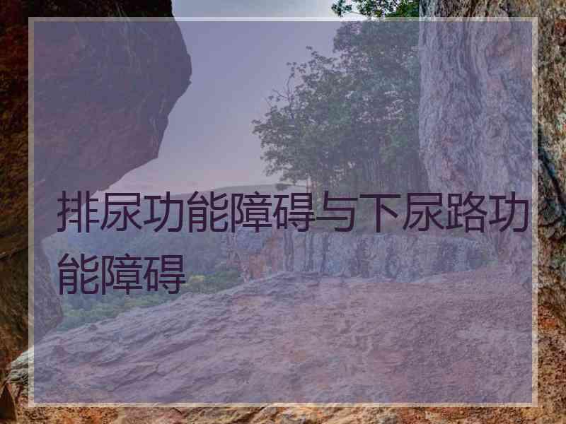 排尿功能障碍与下尿路功能障碍