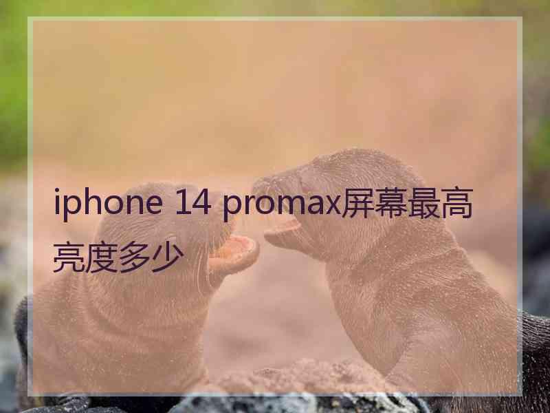 iphone 14 promax屏幕最高亮度多少