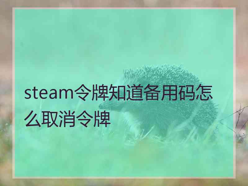 steam令牌知道备用码怎么取消令牌