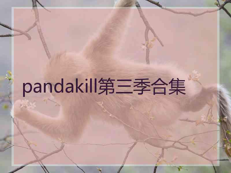 pandakill第三季合集