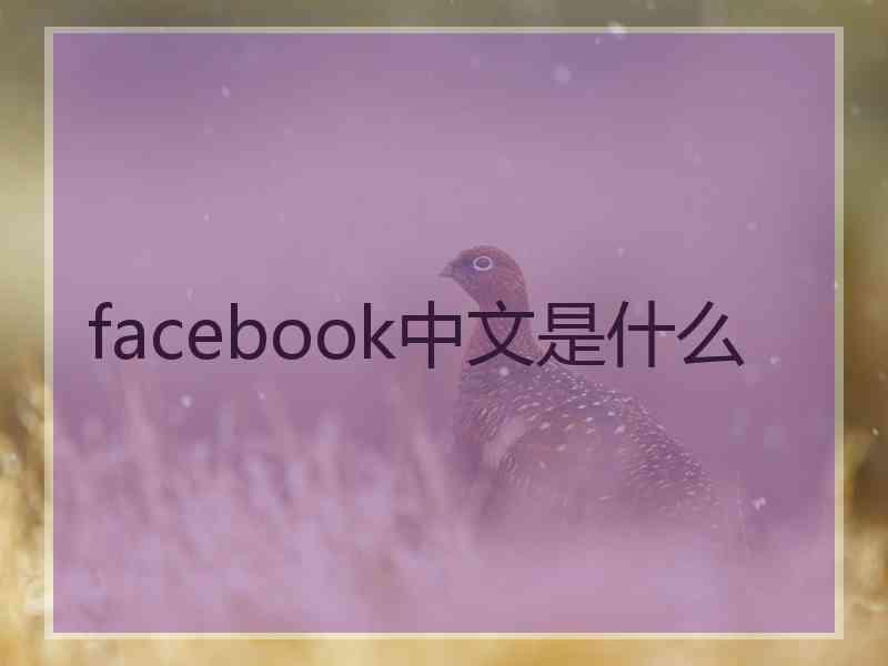 facebook中文是什么