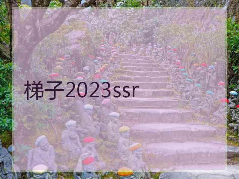 梯子2023ssr