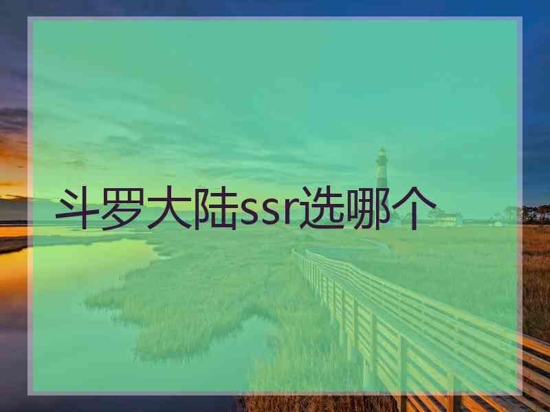 斗罗大陆ssr选哪个