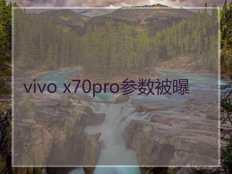 vivo x70pro参数被曝