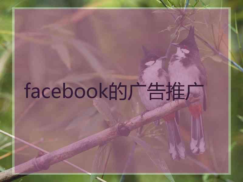 facebook的广告推广