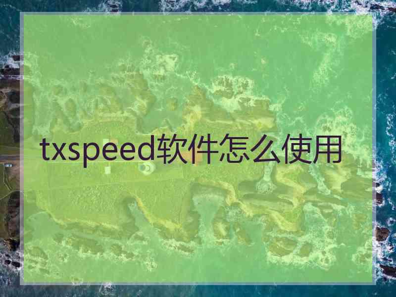 txspeed软件怎么使用