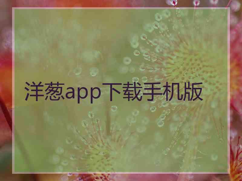 洋葱app下载手机版