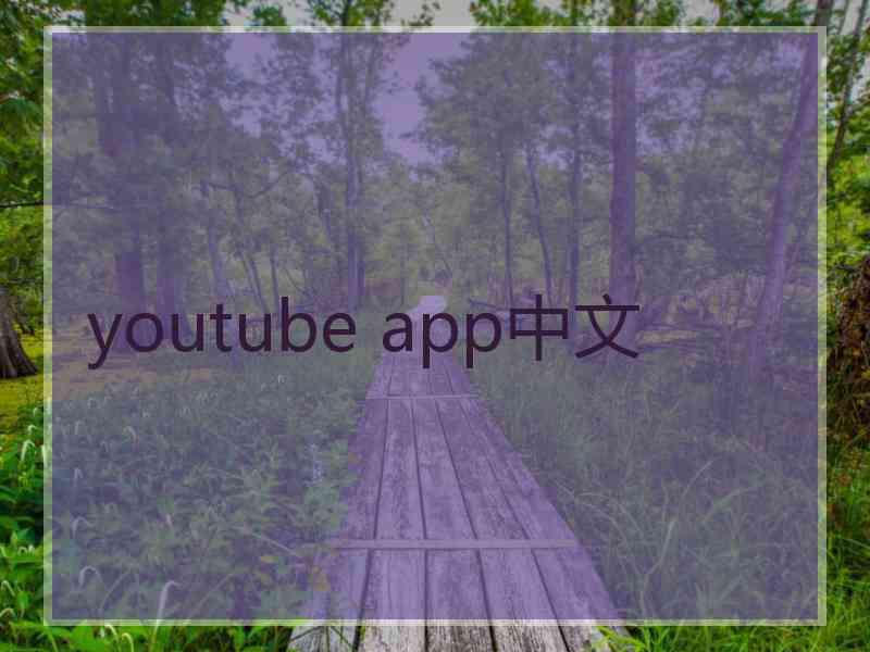 youtube app中文