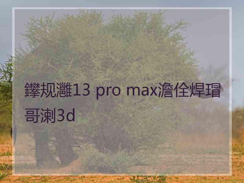 鑻规灉13 pro max澹佺焊瑁哥溂3d