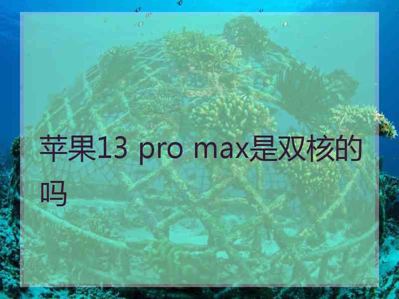 苹果13 pro max是双核的吗