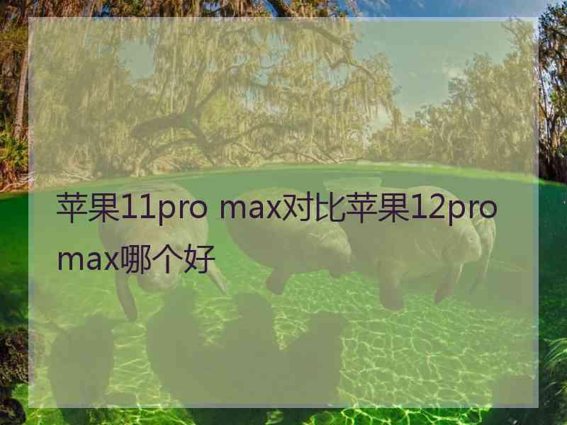 苹果11pro max对比苹果12promax哪个好