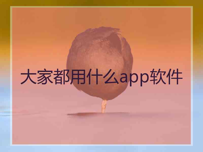 大家都用什么app软件