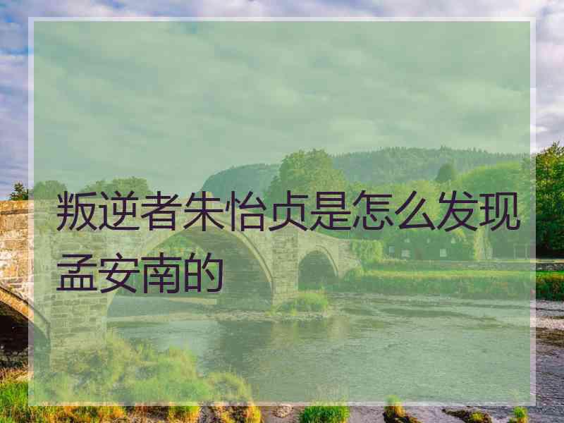 叛逆者朱怡贞是怎么发现孟安南的