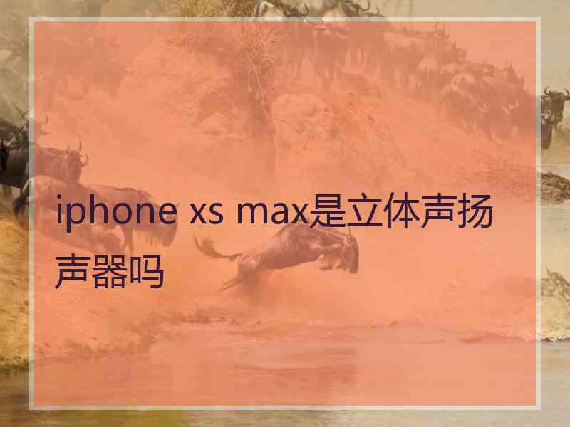 iphone xs max是立体声扬声器吗