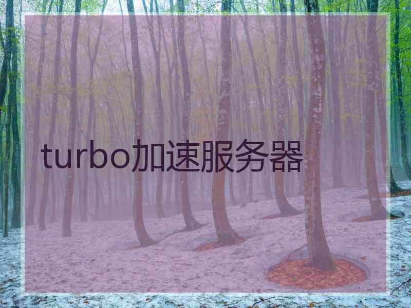 turbo加速服务器