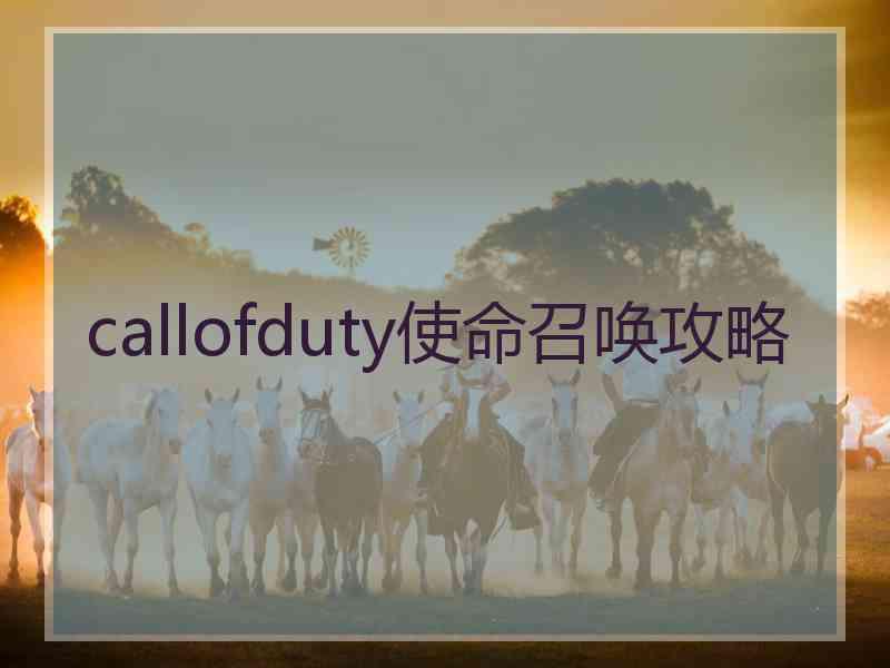 callofduty使命召唤攻略