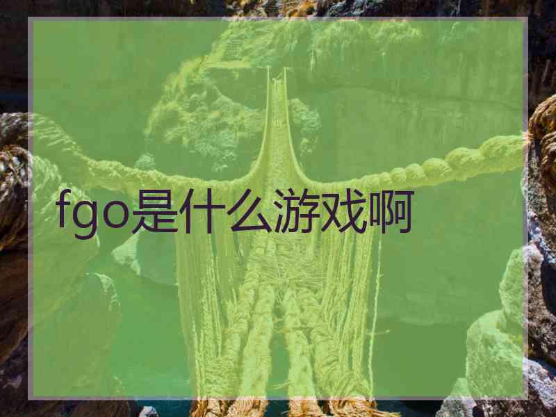 fgo是什么游戏啊