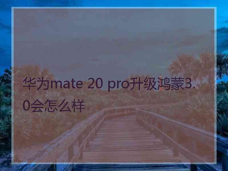 华为mate 20 pro升级鸿蒙3.0会怎么样