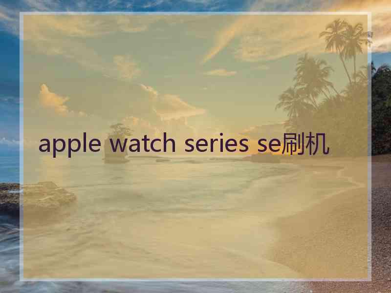 apple watch series se刷机