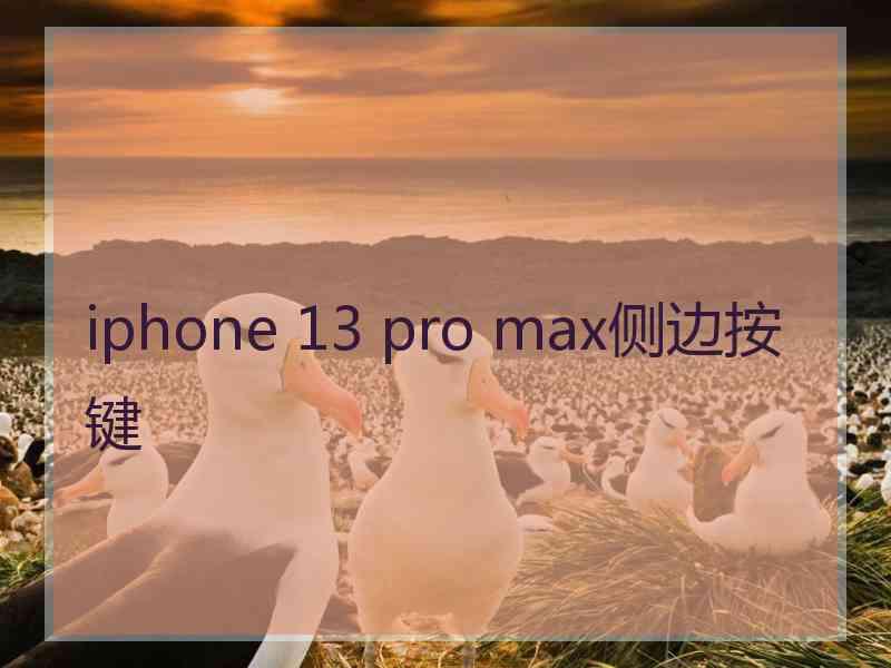 iphone 13 pro max侧边按键